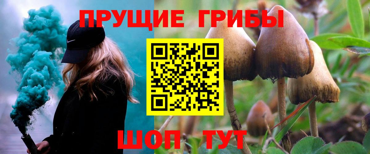 Псилоцибиновые грибы мицелий Нягань